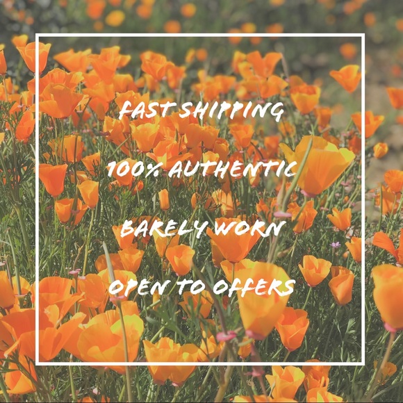 Meet the Posher 🐢 - Picture 3 of 3